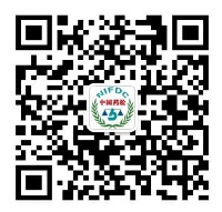 1599722355371024415.jpg 4321.jpg