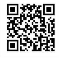 31741746509082025111.jpg